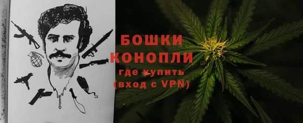 apvp Богородск